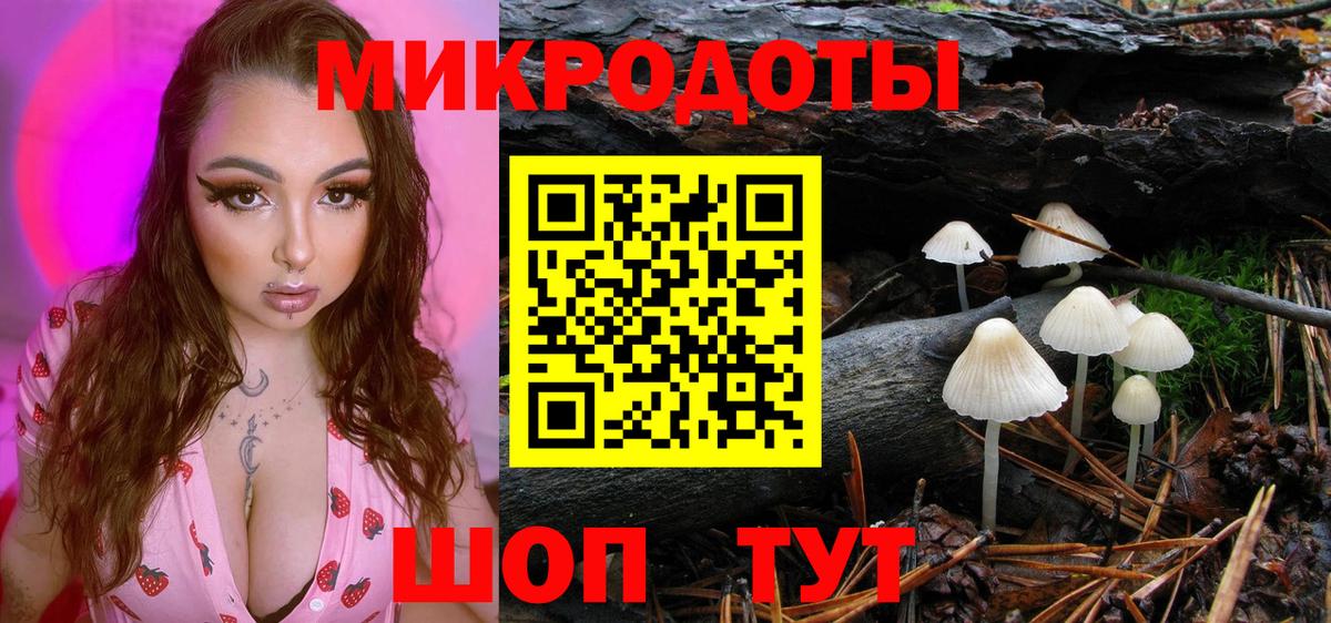 Псилоцибиновые грибы Psilocybe  Вход с VPN  Буйнакск 